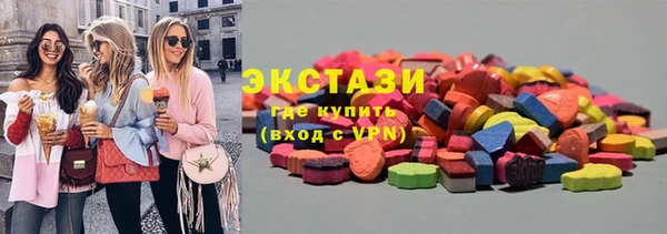 индика Богородск