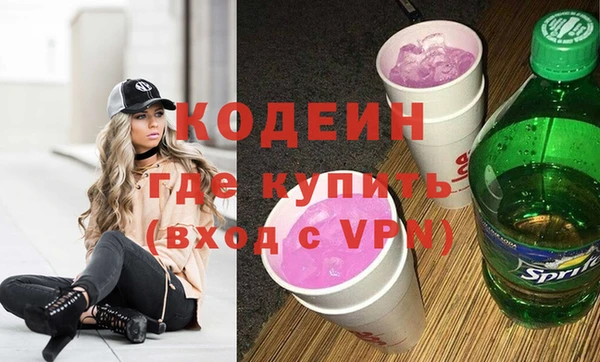 индика Богородск