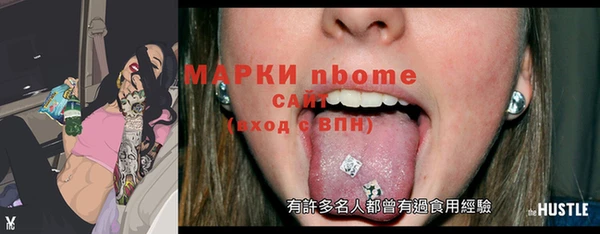 индика Богородск