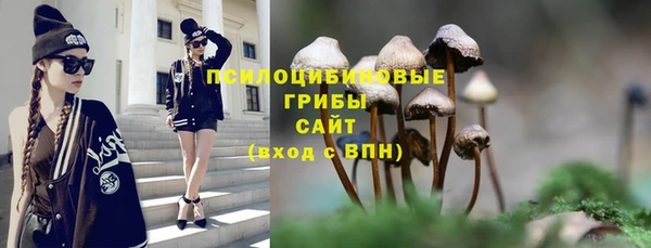индика Богородск