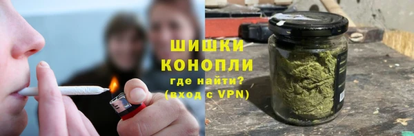 индика Богородск