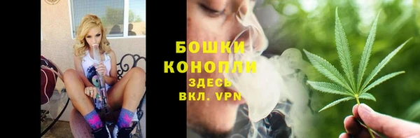 индика Богородск