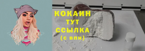 дживик Богданович