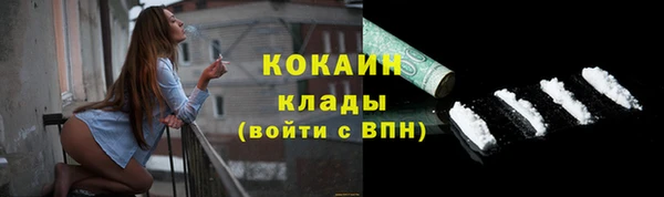 индика Богородск