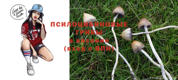 дистиллят марихуана Каменногорск