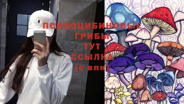 индика Богородск
