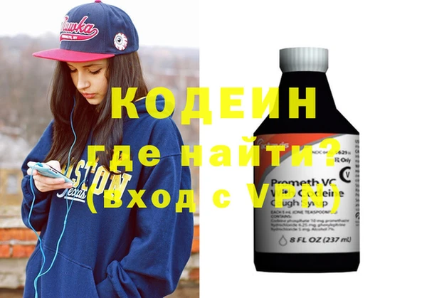 индика Богородск