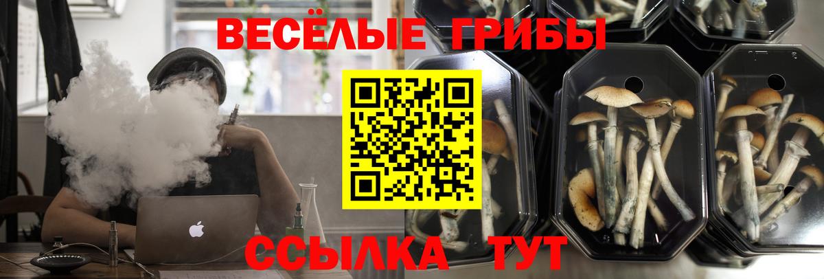 Псилоцибиновые грибы GOLDEN TEACHER  Вход с VPN  Уссурийск 
